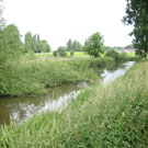 Wyche Angler's stretch of the River Weaver in Nantwich