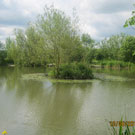 Wyche Angler's Dorrington Pool