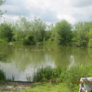 Wyche Angler's Dorrington Pool